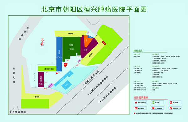 大鸡吧他桶进来了受不了了黄片视频北京市朝阳区桓兴肿瘤医院平面图